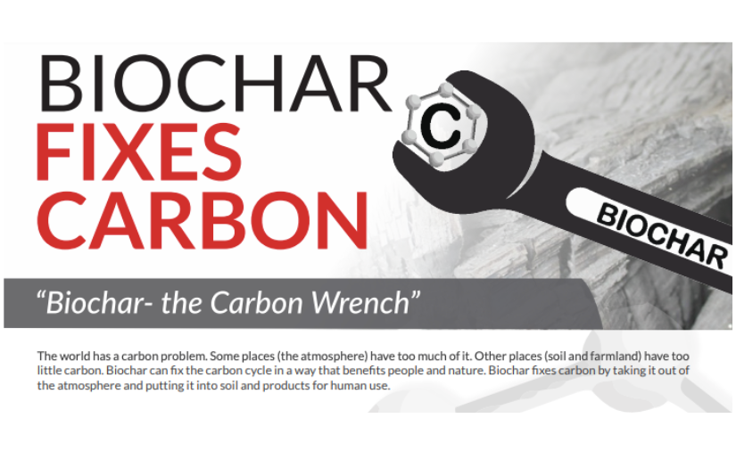 Biochar Fixes Carbon